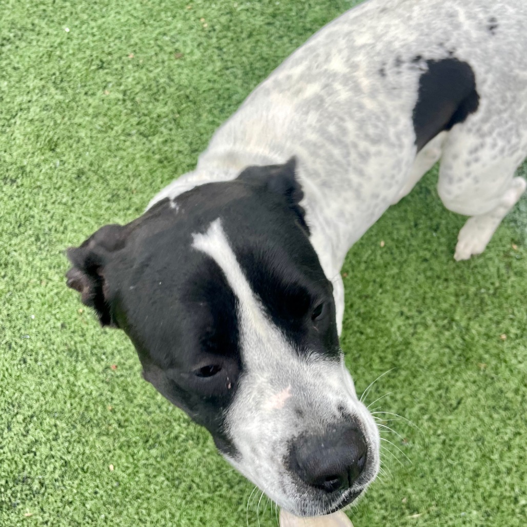 Wendy — thumbnail 4