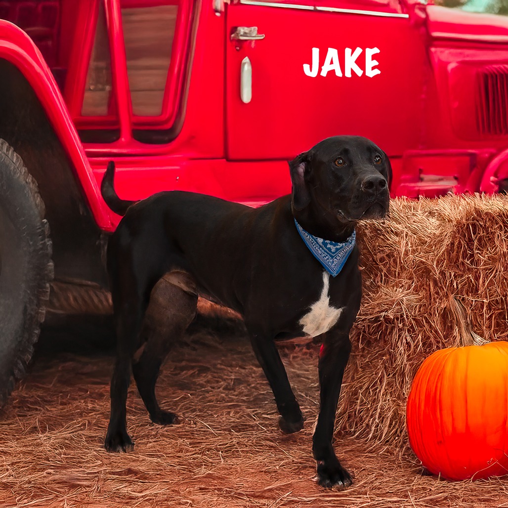 Photo of Jake