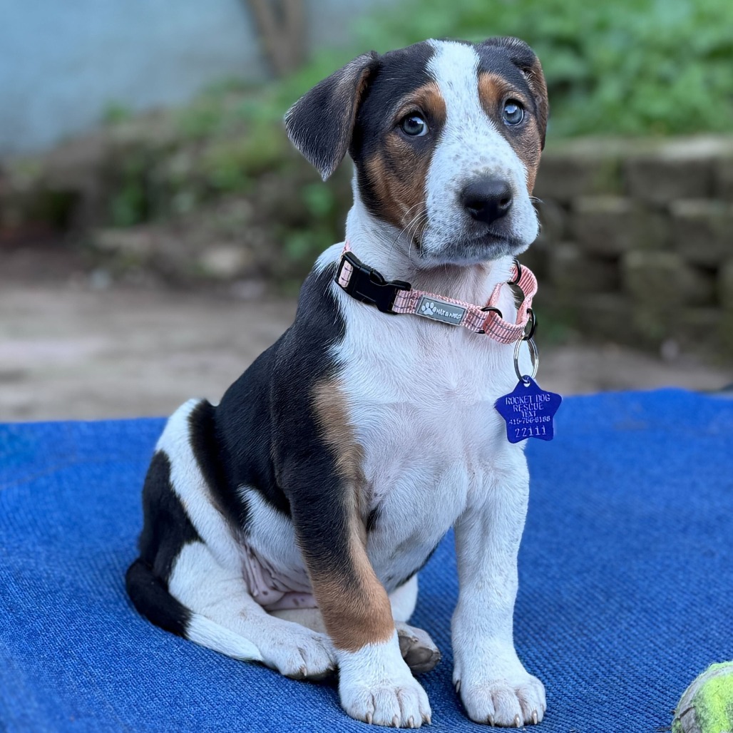 July — thumbnail 3