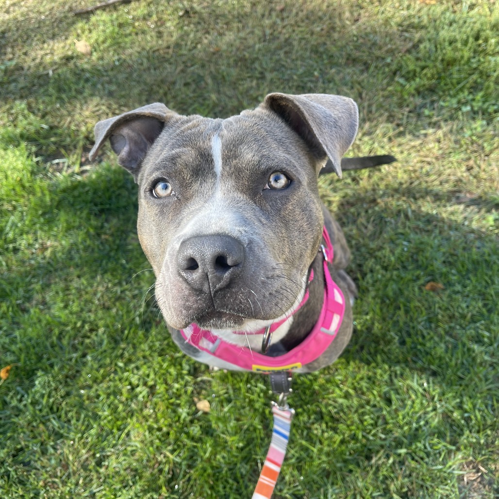 Karma D12613