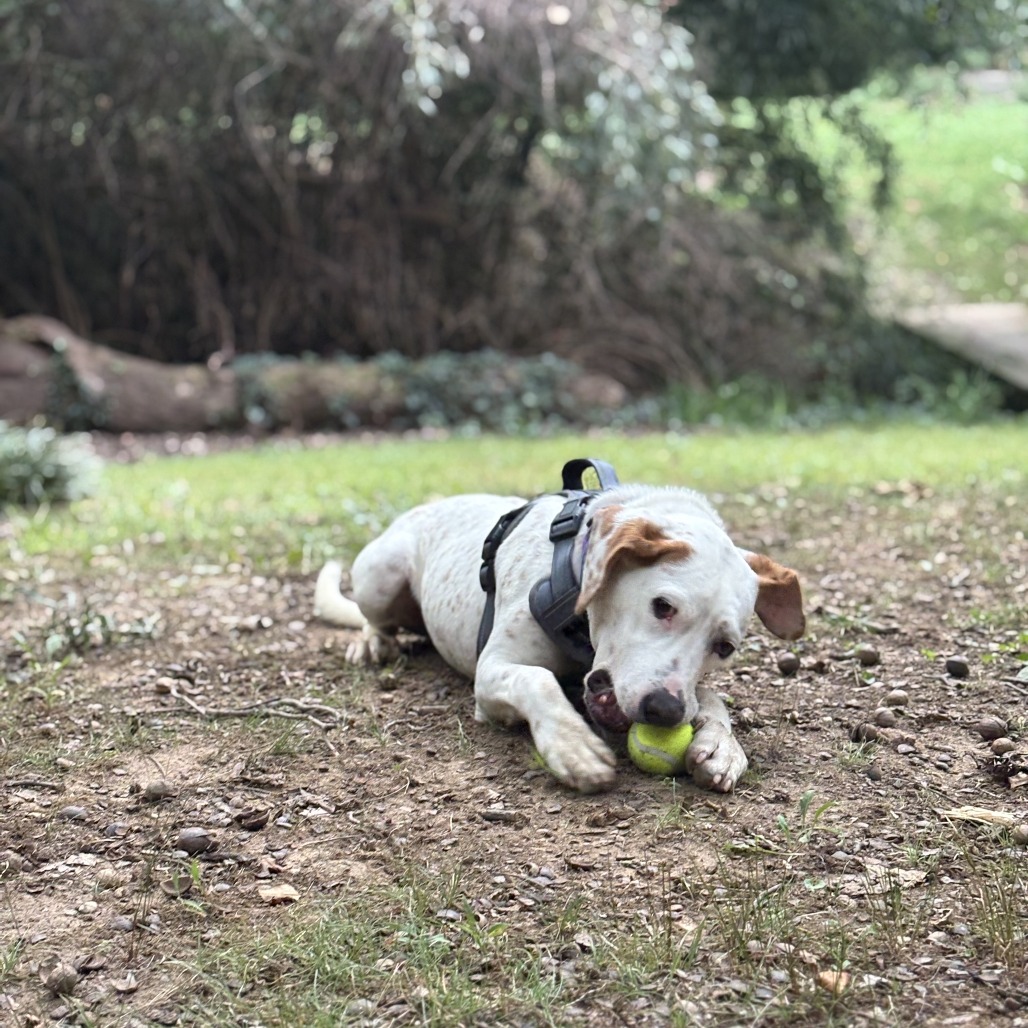 Otis, photo 12