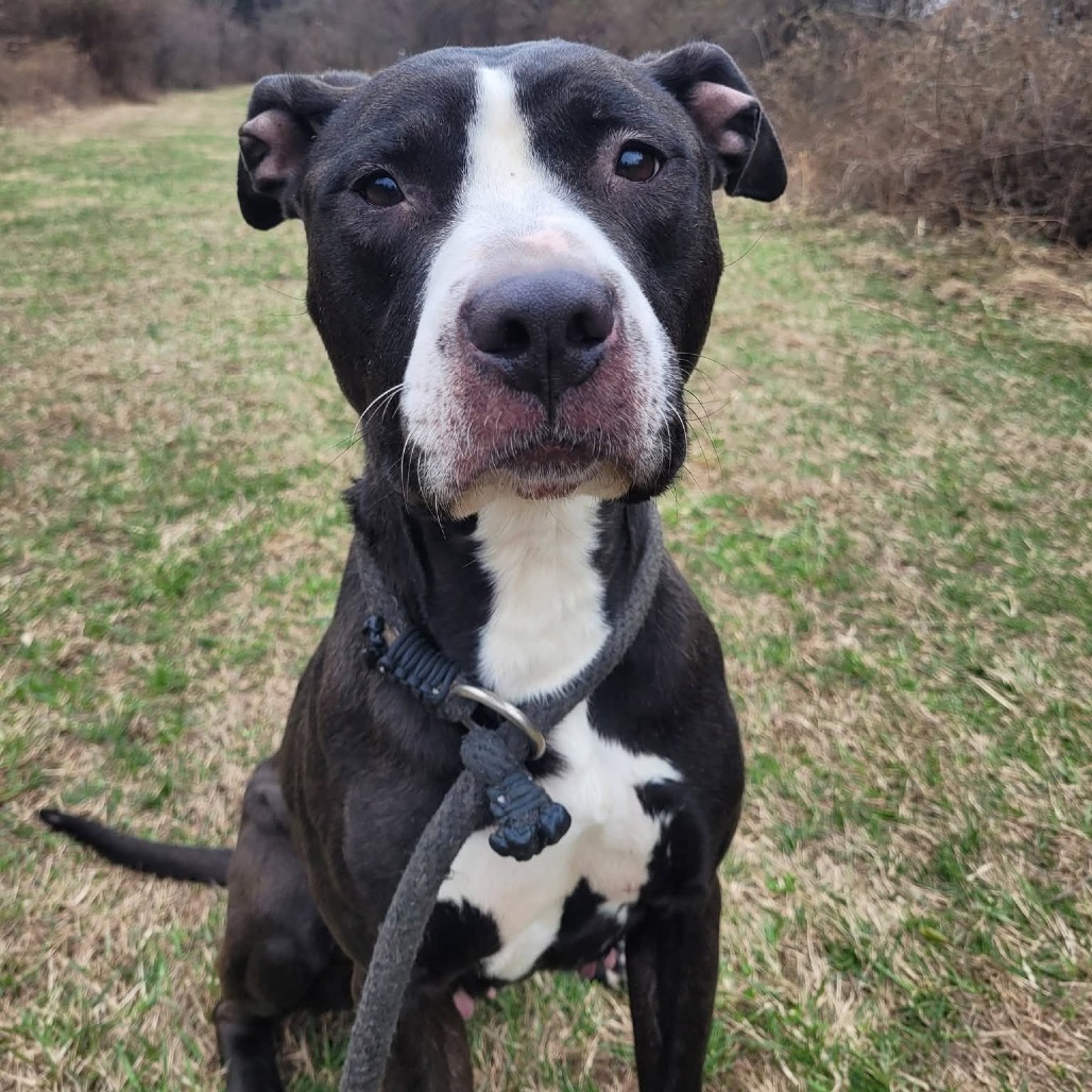 f51d33bbc61b1d8c5536dc24d5a0f280