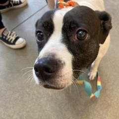 a30bfb7fc28617dbfc7b56f7c891a594