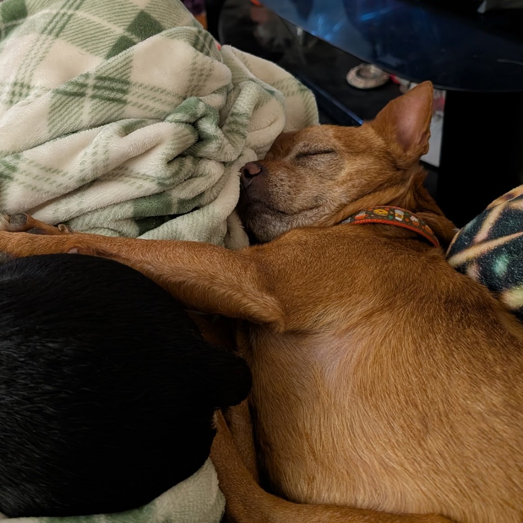 Frito, photo 25