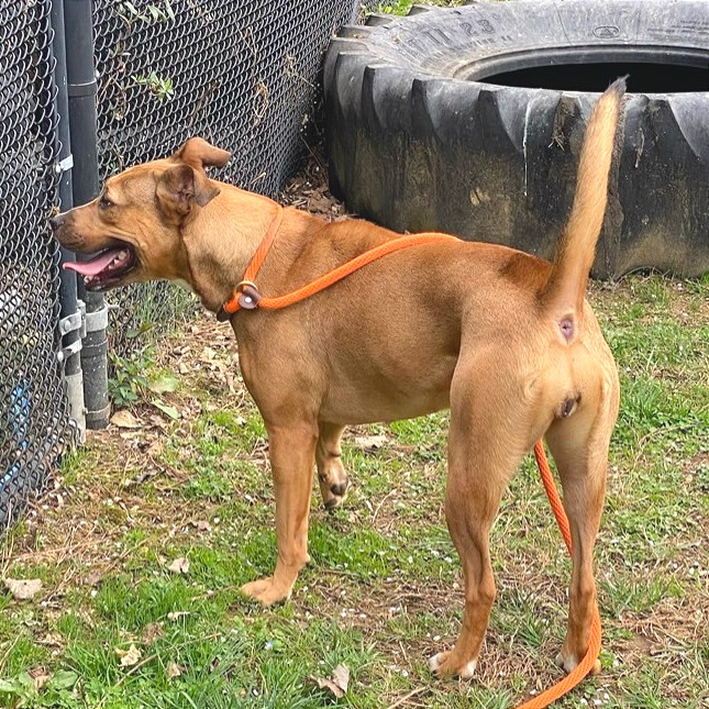 Maggie — thumbnail 6