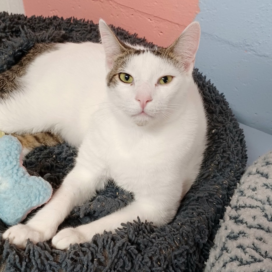 Full body shot of Scampi