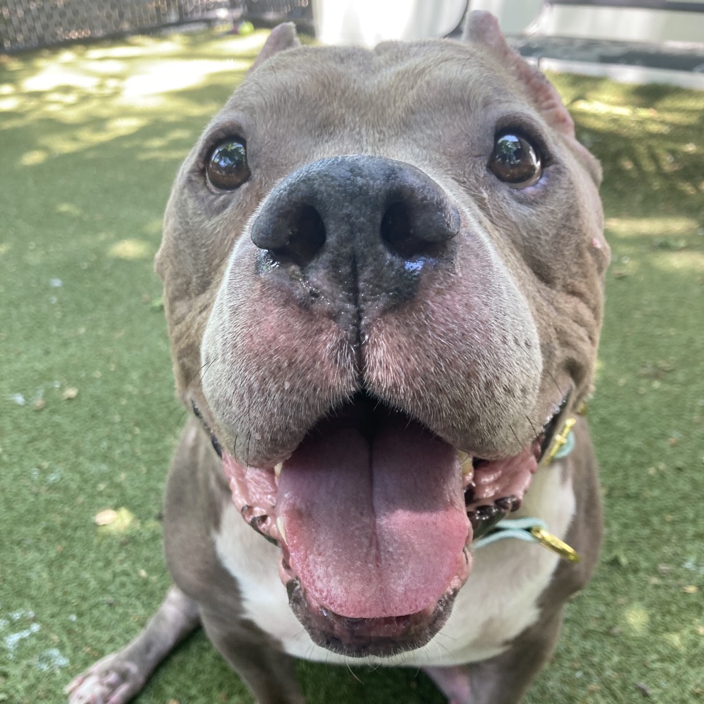 Zeus, additional photo
