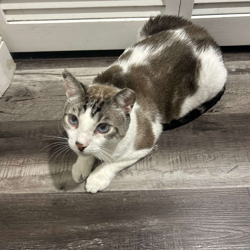 Arlo, photo 15
