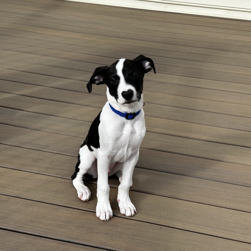 Lightning — thumbnail 4