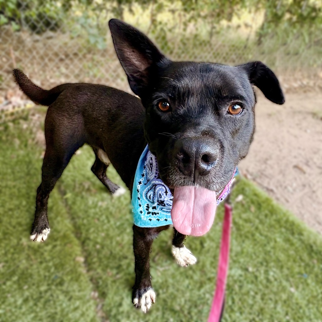 Alok — thumbnail 7