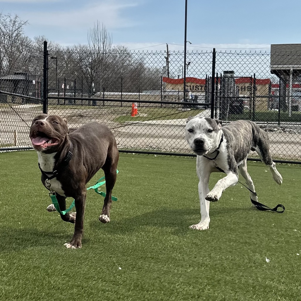 Stacks — thumbnail 4