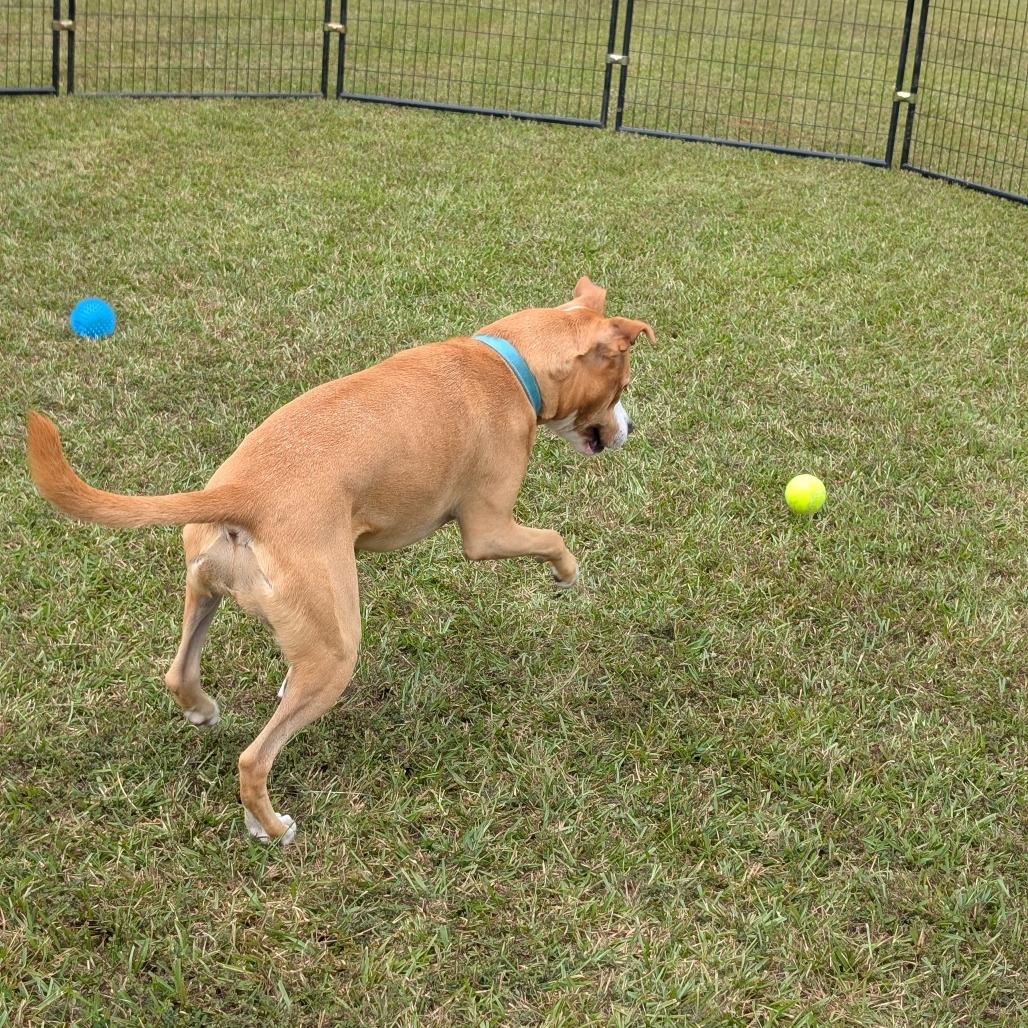 Bonnie 04-2230, photo 5