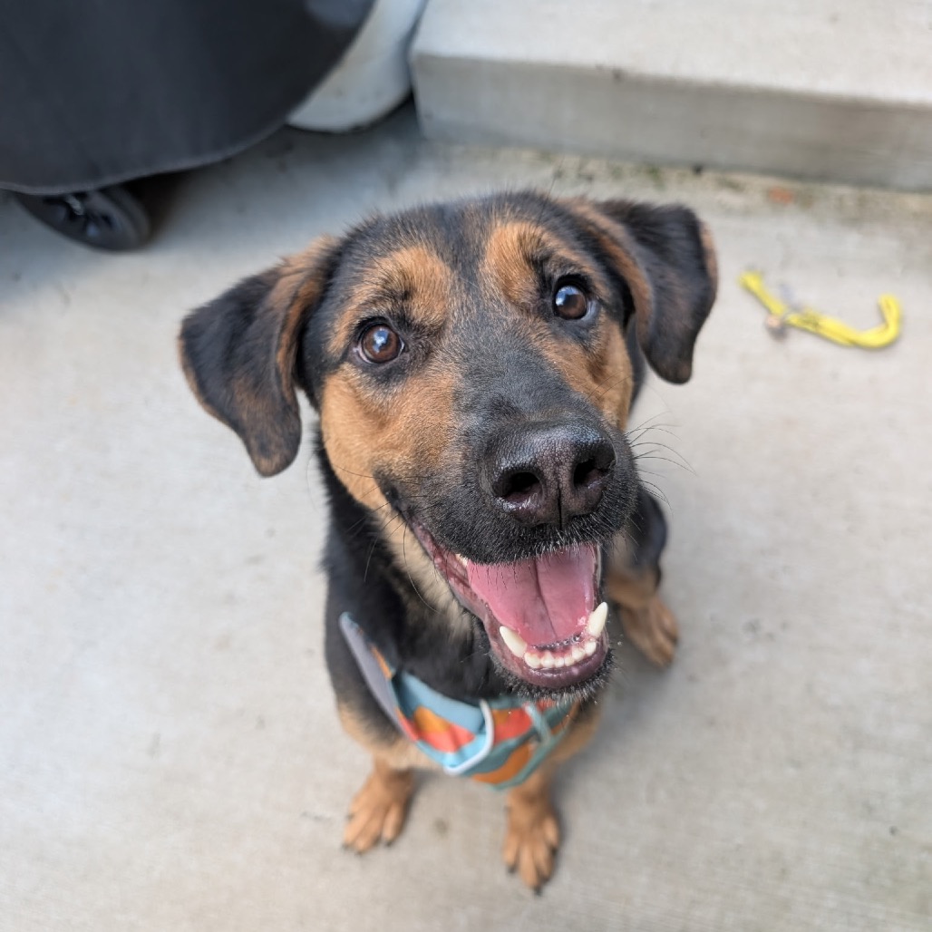Callie (Formerly Caledonia), photo 15