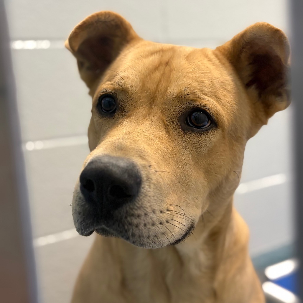Bill Wurtz (I'm a Princess), photo 3