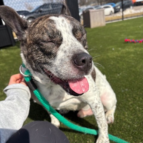 Curious — thumbnail 5