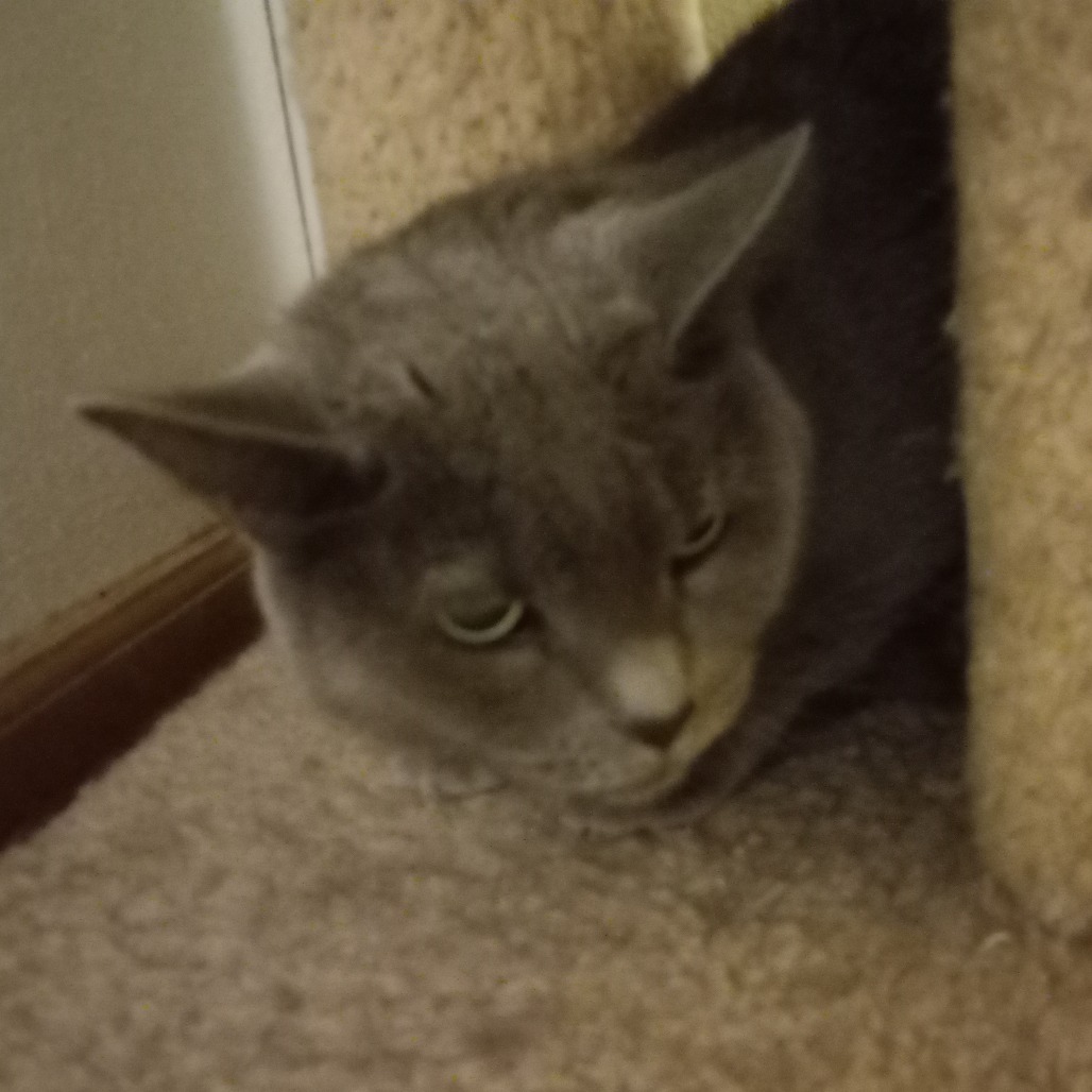 Charcoal — thumbnail 2