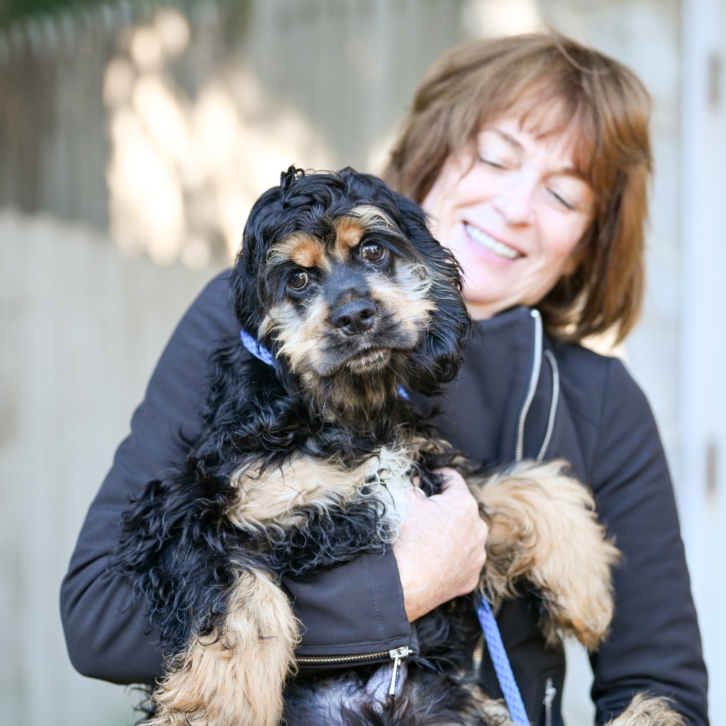 Xavier - Phoenix Animal Rescue