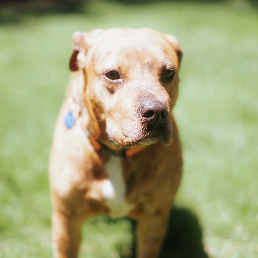 Winnie Bug