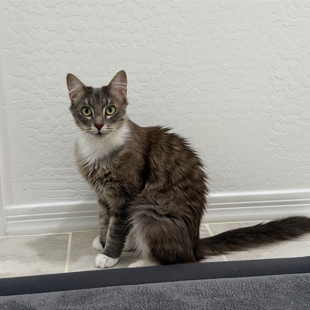 Mia