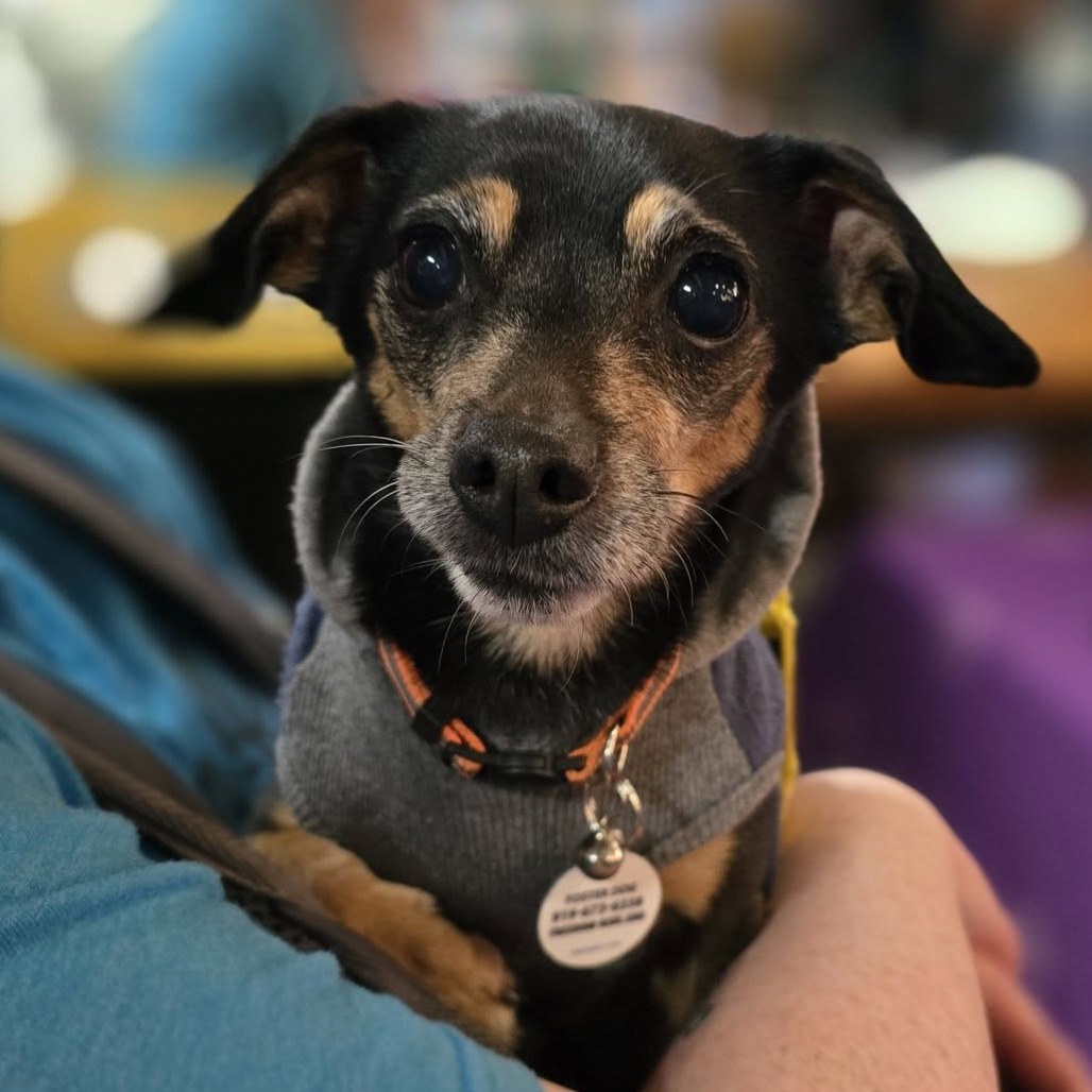 Peggy, photo 15