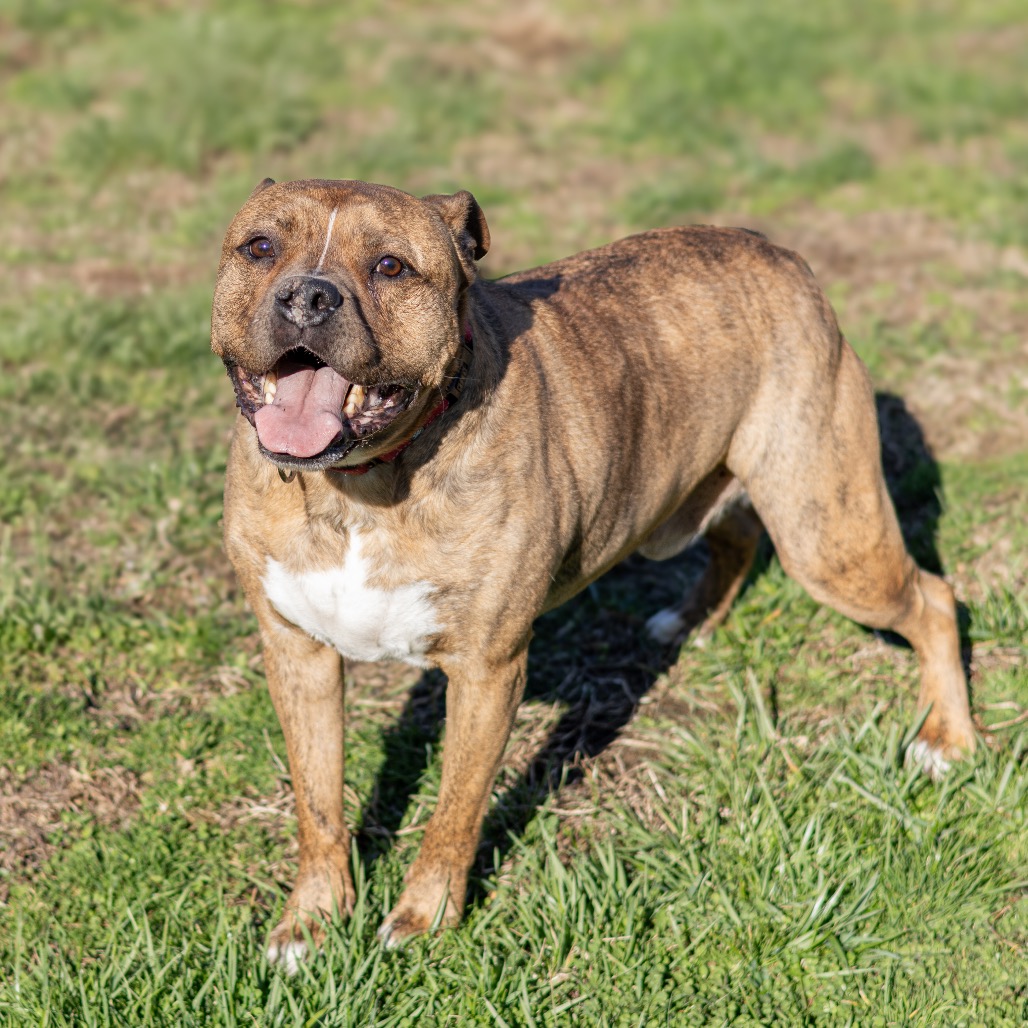 Zeus, additional photo