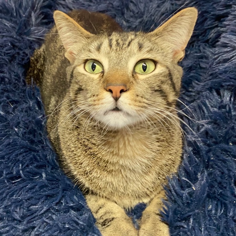 Another portrait of Squirt