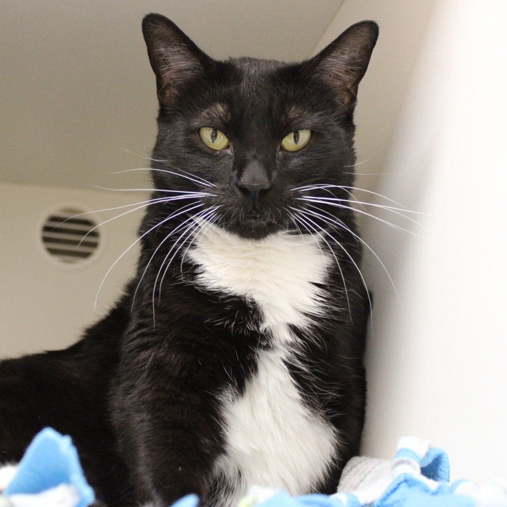 Sushi — thumbnail 4