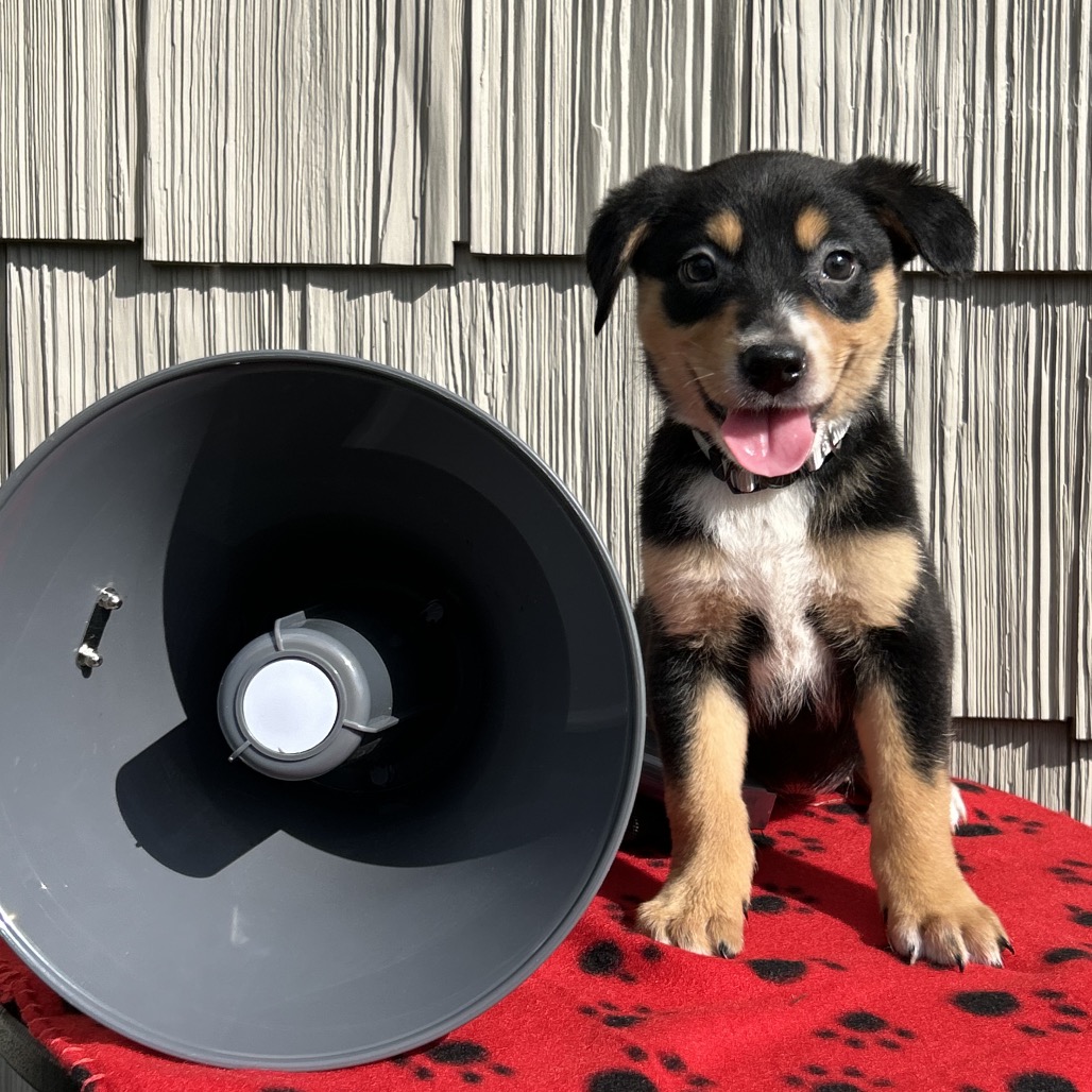 Cowbell
