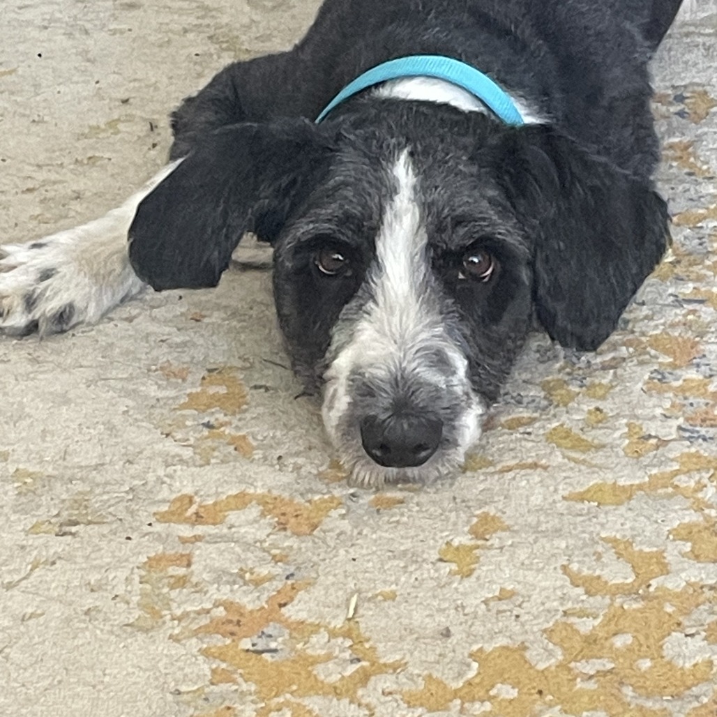 Photo of Tuff