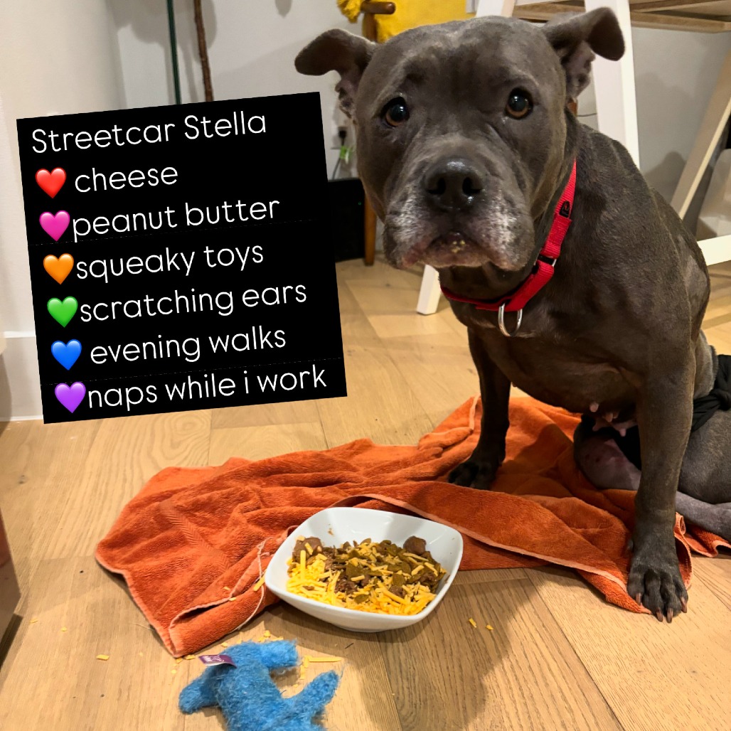 Streetcar Stella, additional photo