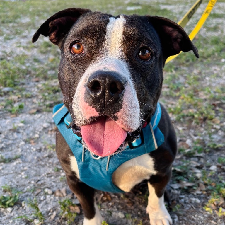 Photo of Emelia playing