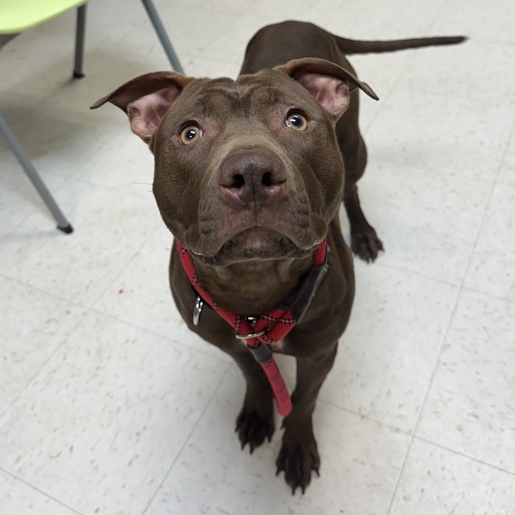 Haze — thumbnail 4