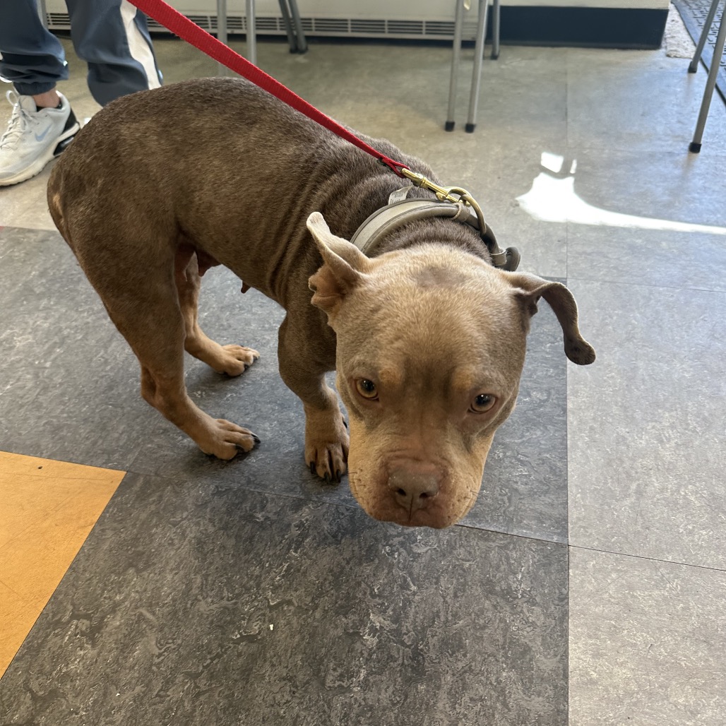 Airport — thumbnail 2