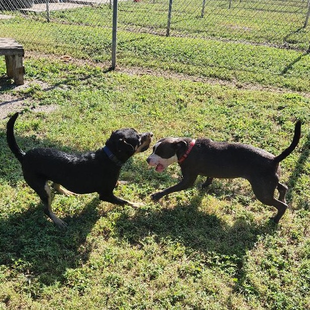 Reginald photo 18