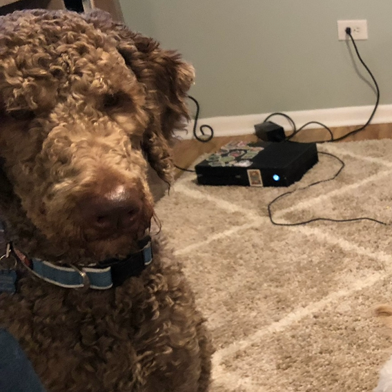 Kylo - Home to Home, photo 4
