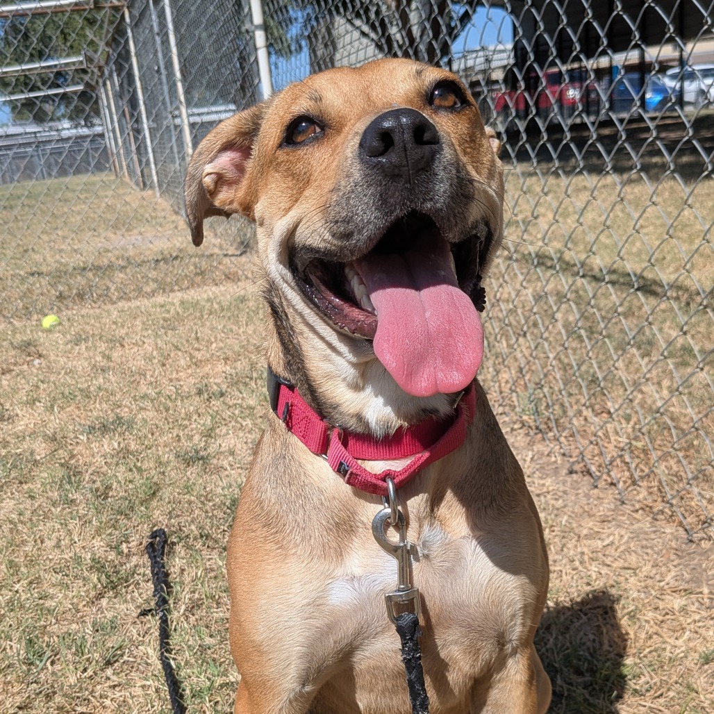 Penny photo 5