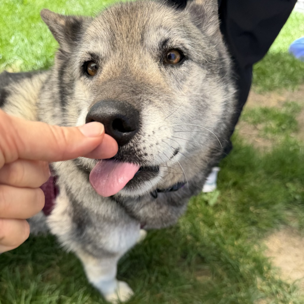 Riley, additional photo