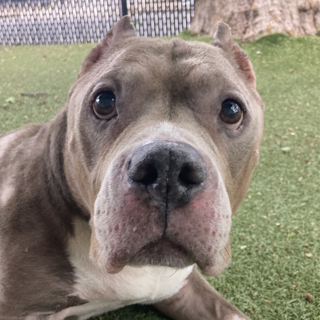 Zeus, additional photo