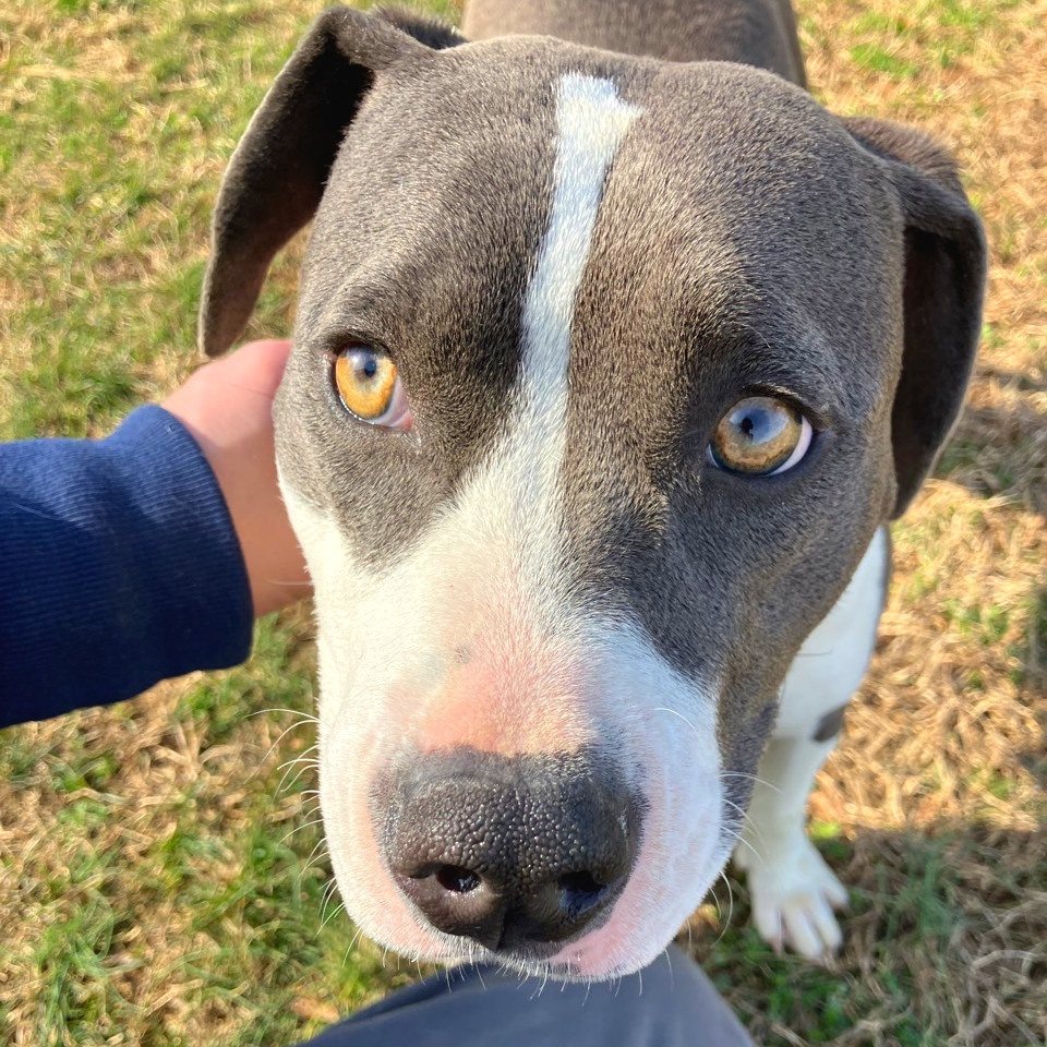 Luna Moon — thumbnail 8