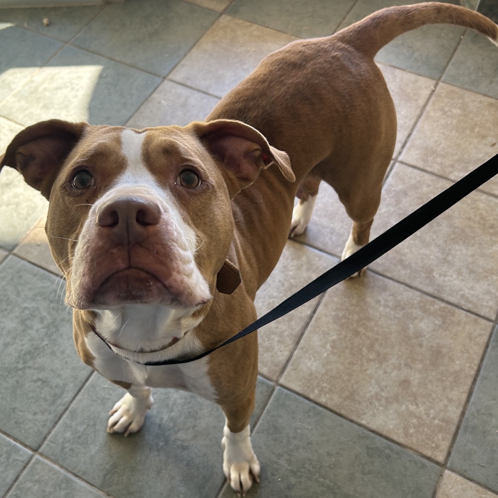 Björk — thumbnail 2