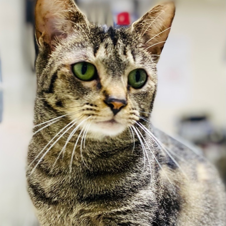 Photo of Columbia playing