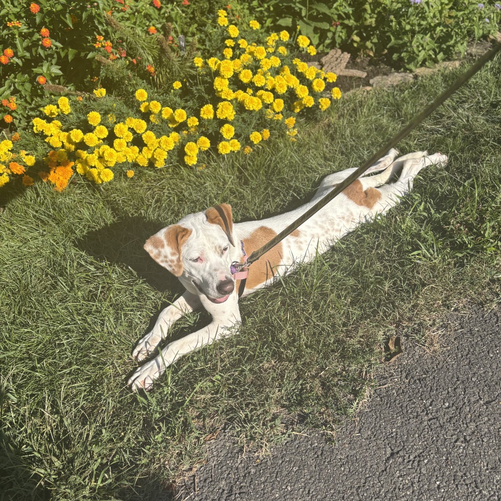 Otis, photo 11