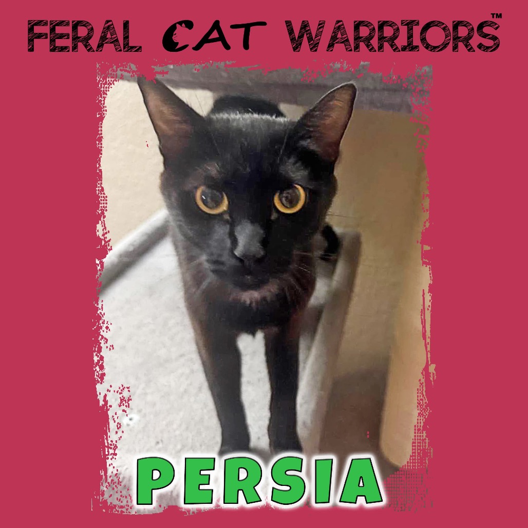 Persia
