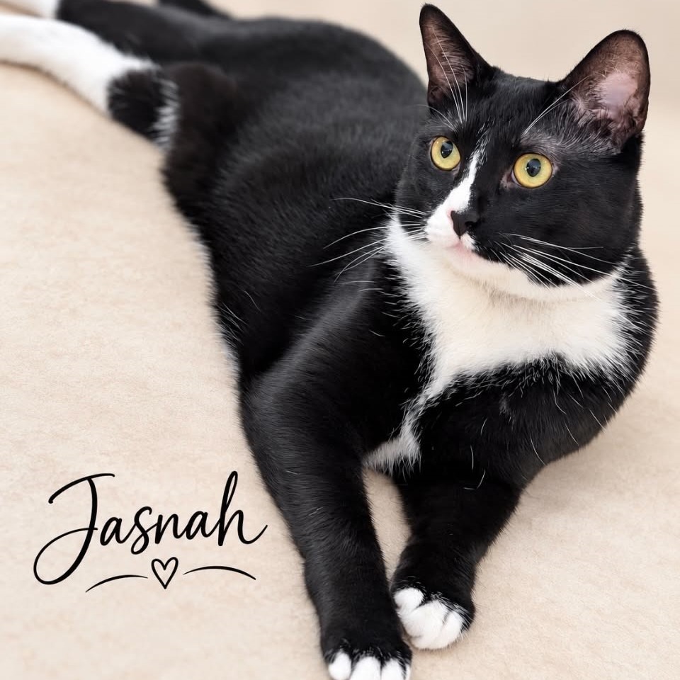 Jasnah, photo 6