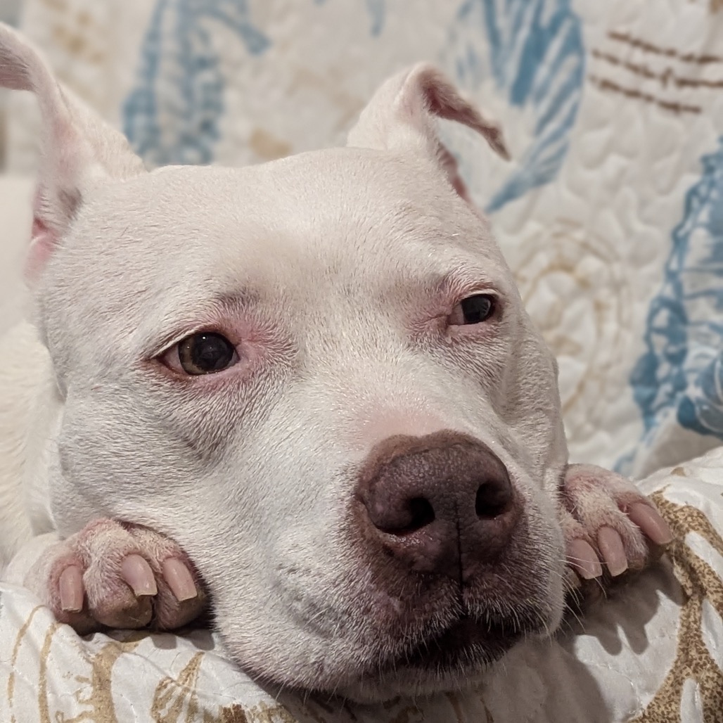 Zoey (fka Sonic), photo 9