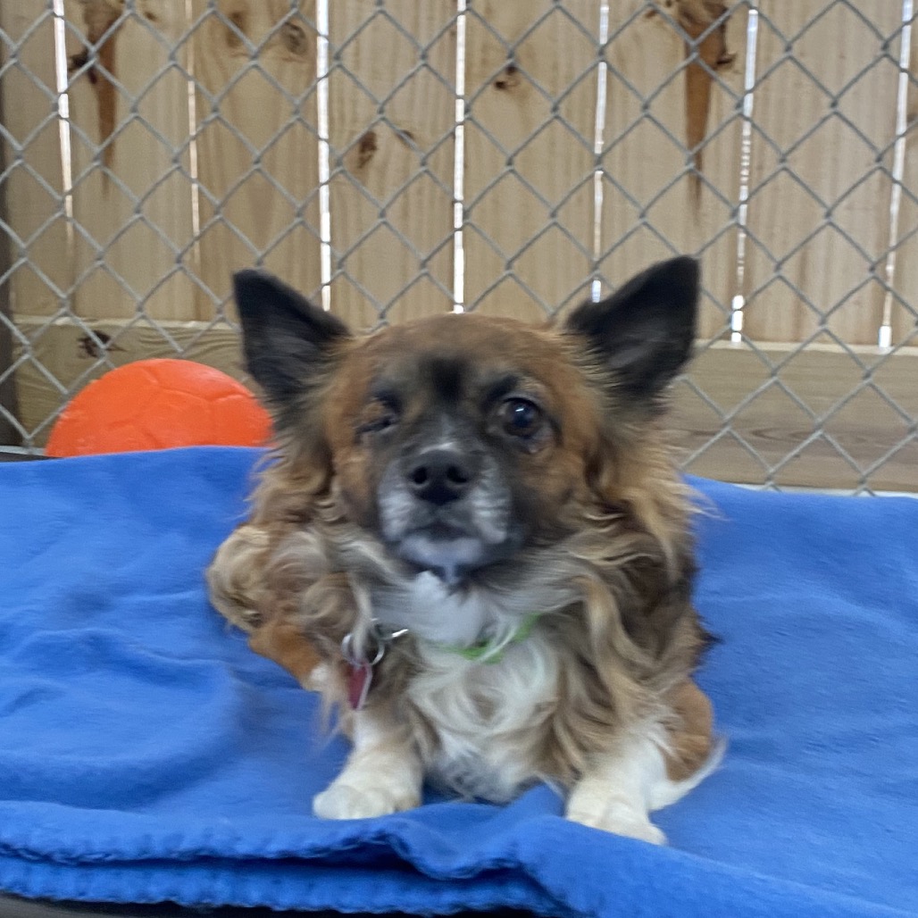 Saint — thumbnail 4