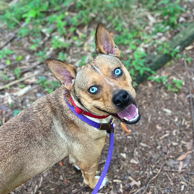 Persephone — thumbnail 9