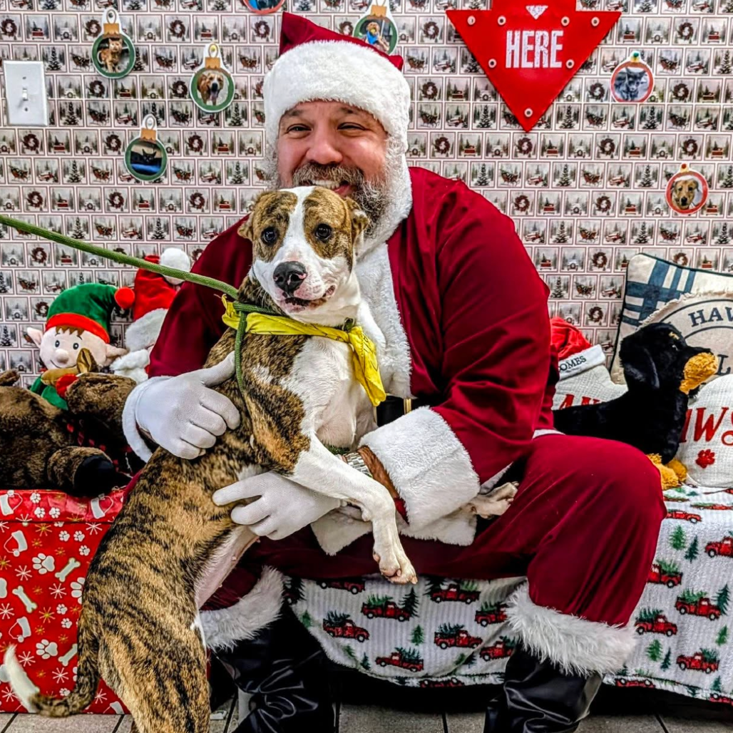 Lilly — thumbnail 4