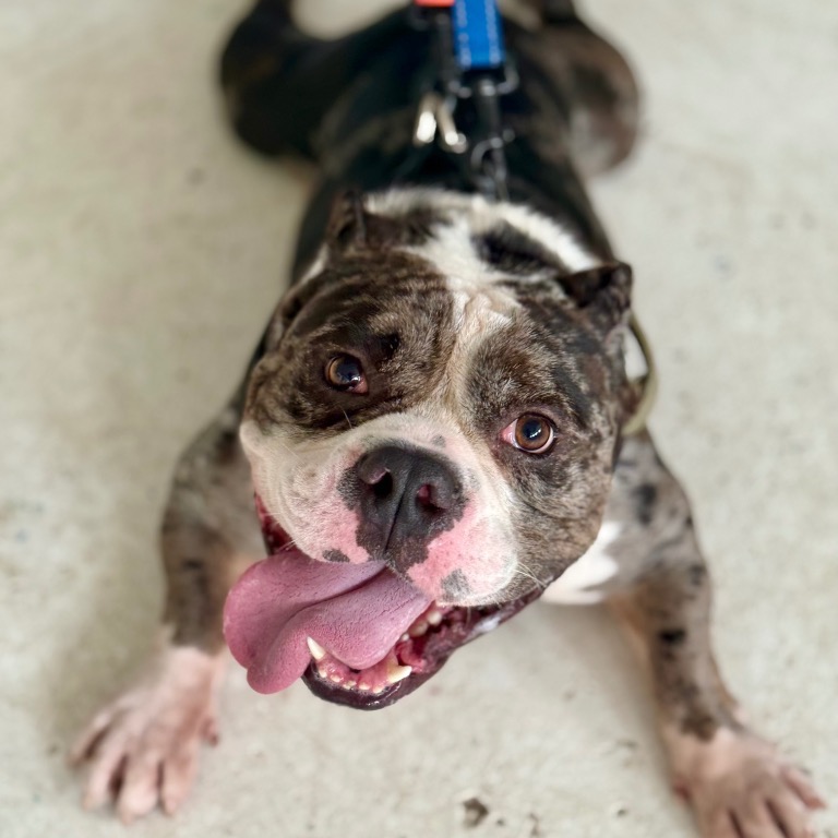 Full body shot of Ronnie