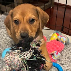 Holly — thumbnail 3